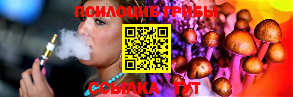 Удомля  Галлюциногенные грибы мицелий  Вход с VPN 